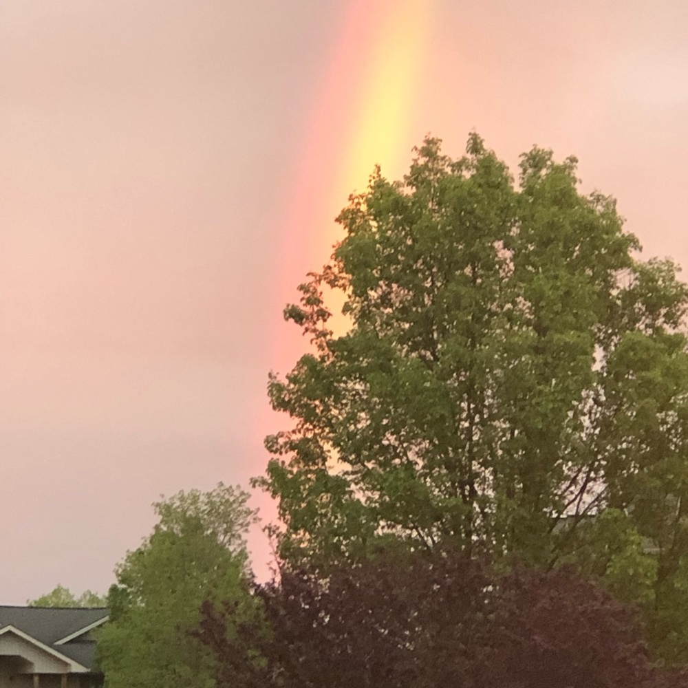 Meet your Posher, Bobbi